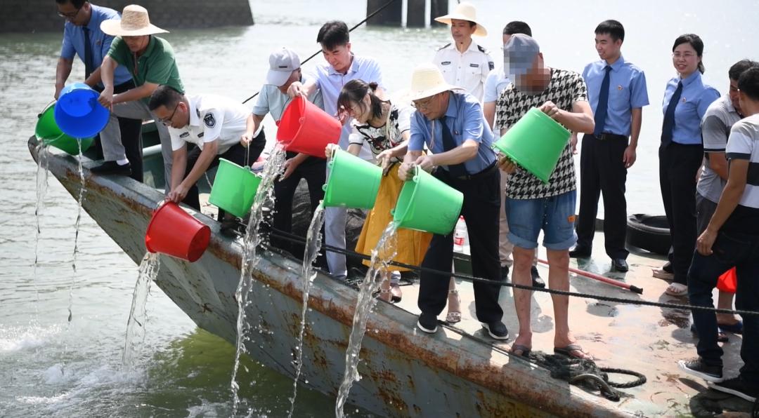破局与重构，环境公益诉讼社会组织起诉资格及生态修复执行困境的深层透视