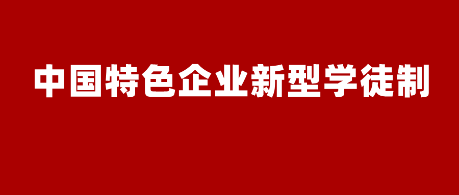 中国特色企业新型学徒制本土化实践，补贴机制与考核体系创新研究