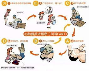 黄金4分钟家庭心肺复苏术图解急救指南