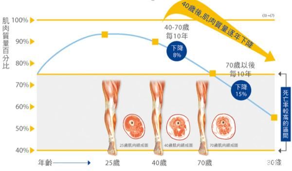 50岁后防肌少症，每日蛋白质摄入时空分布策略深度解析