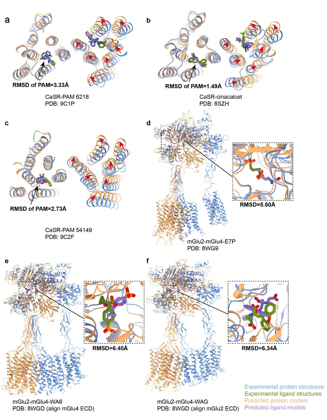 AlphaFold3引爆AI蛋白革命，重构药物研发周期缩短新范式