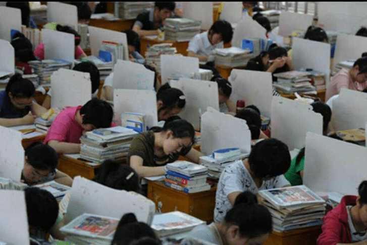 特殊教育职教中智障自闭学生职业转衔支持体系构建