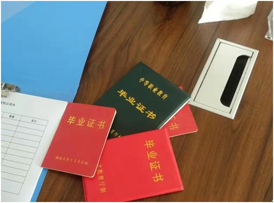 职业培训监管新局，预付卡、质量与就业承诺的三维整治路径